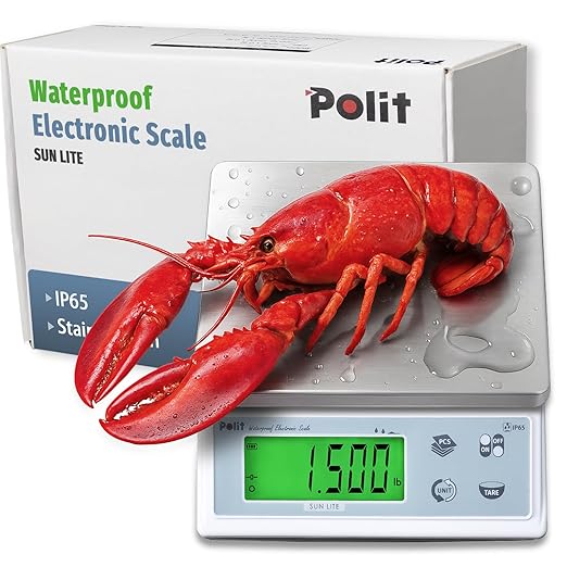 Polit Sun Lite IP65 Waterproof Food Scale 6.6lb/3kg, 0.1g/0.005oz Accuracy Kitchen Scale with LCD 304 Stainless Steel, Auto Precision Adjustment Grams & Ounces Baking Scale for Home, Kitchen
