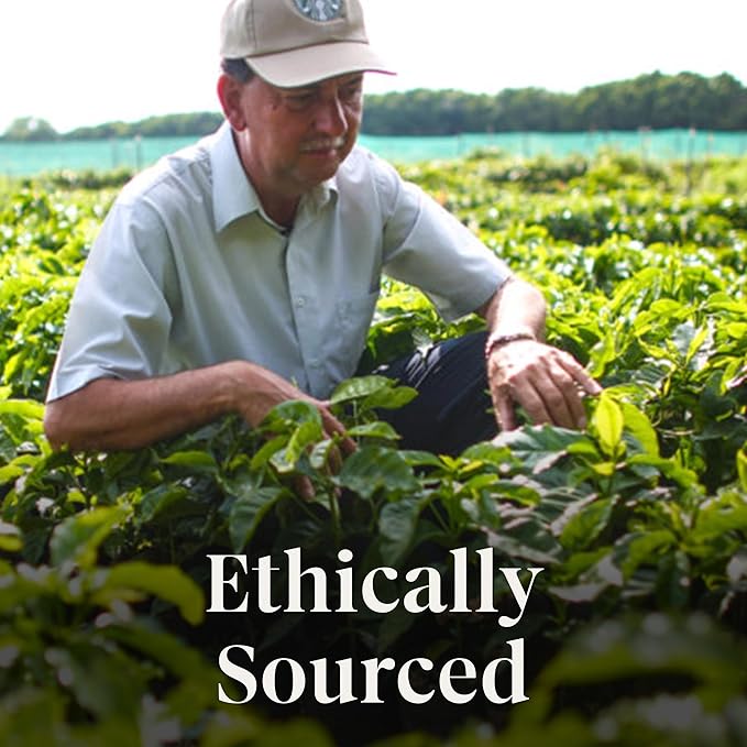 Starbucks K-Cup Coffee Pods, Medium Roast Coffee for Keurig Coffee Makers, Fall Blend, 100% Arabica, Limited Edition, 6 Boxes (60 Pods Total)